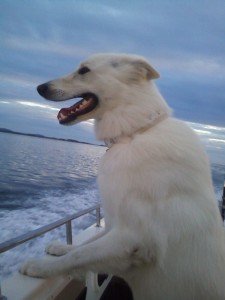 IMG-20160905-WA0005