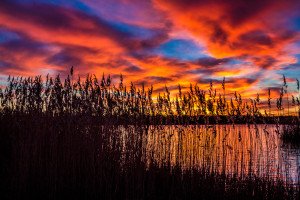 IMG_6389
