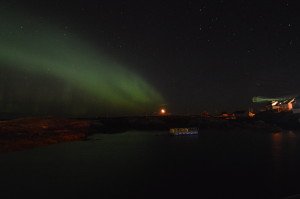 DSC_0049