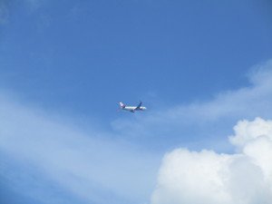 IMG_0011