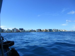 IMG_0040
