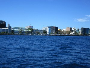 IMG_0041