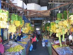 IMG_0045