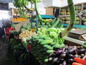 IMG_0047