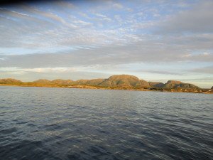 IMG_1915