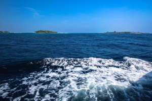 IMG_1950