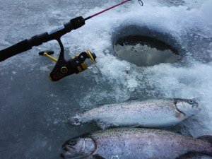 IMG_20170114_095306