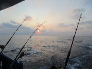 IMG_2573
