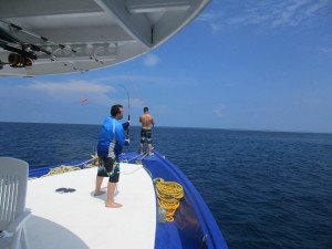 IMG_2593