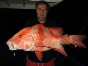 IMG_2619-1