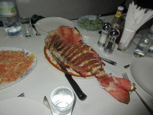IMG_2624-1