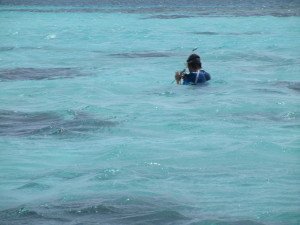 IMG_2644
