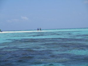 IMG_2645