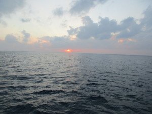 IMG_2682