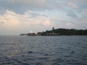 IMG_2684