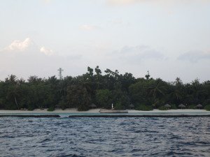 IMG_2687
