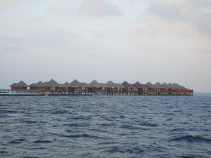 IMG_2688