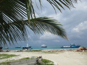 IMG_2691