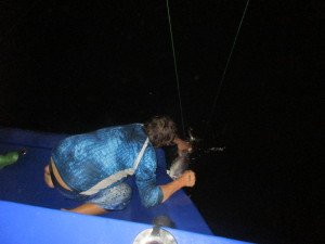 IMG_2725-1