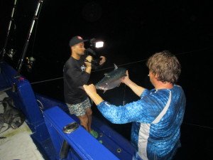 IMG_2726-1