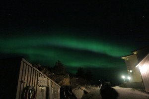 IMG_6907
