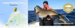 profil-loppa
