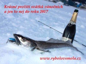 rybolov-smola-morsky-rybolov-212-kopie