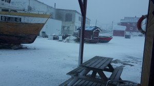 20170223_090345