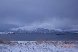 DSC00321