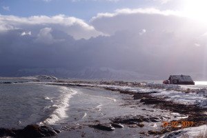 DSC00348