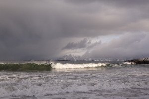 DSC00438