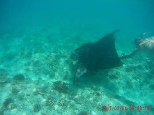 FB_IMG_1486223769826-1