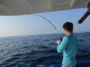 FB_IMG_1486386938696-1