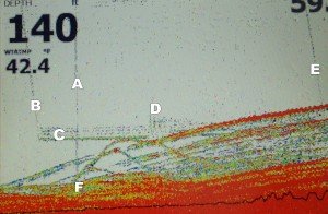 DSC00015_2017-03-03_14_00_30_2017-03-03_14_02_43