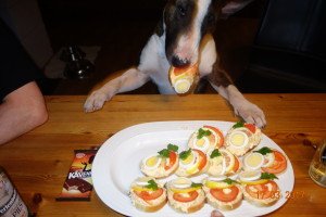 DSC00076