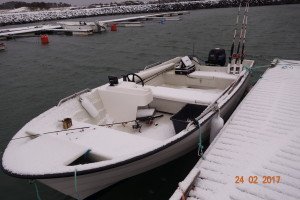 DSC00325