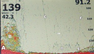 DSC01455_2017-03-05_23_53_10_2017-03-05_23_55_31_2017-03-06_08_46_25