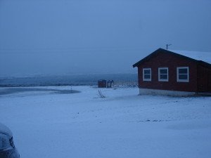 DSC01593