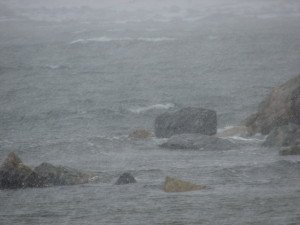 DSC01609