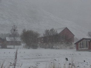 DSC01610