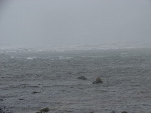 DSC01612