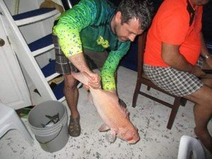 FB_IMG_1488426040444-1