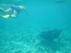 FB_IMG_1488909271433-1