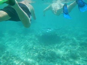 FB_IMG_1488909311340-1