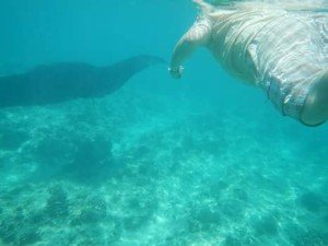 FB_IMG_1488909342589-1