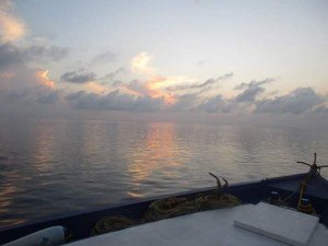 FB_IMG_1489023884656-1