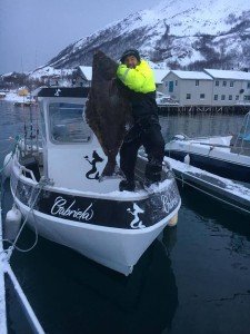 Halibut3