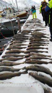 IMG_20170310_153815
