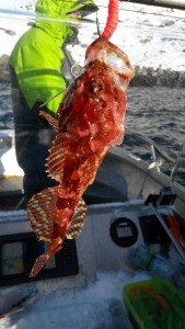IMG_20170313_095807