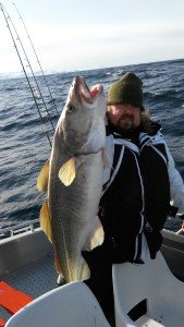 IMG_20170313_124158-1